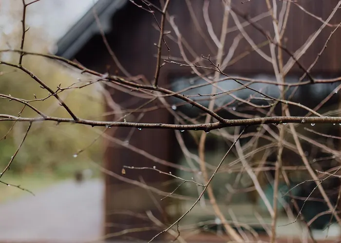 Satori Lounge Lublin