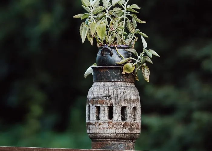 Satori Lounge Lublin